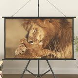 NNEVL Projection Screen 50- 16:9