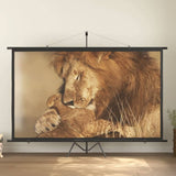 NNEVL Projection Screen 120- 16:9