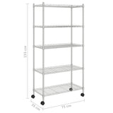 NNEVL 5-Tier Storage Shelf with Wheels 75x35x155 cm Chrome 250 kg