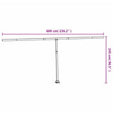 NNEVL Awning Post Set White 600x245 cm Iron