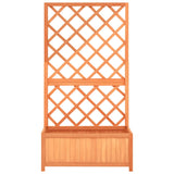 NNEVL Garden Trellis Planter Brown 70x30x135 cm Solid Firwood
