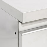 NNEVL Commercial Kitchen Cabinets with 3 Drawers 2 pcs Stainless Steel