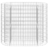 NNEVL Gabion Raised Bed Galvanised Iron 120x50x100 cm