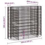 NNEVL Gabion Raised Bed Galvanised Iron 120x50x100 cm