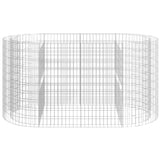 NNEVL Gabion Raised Bed Galvanised Iron 200x100x100 cm