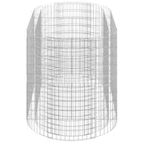 NNEVL Gabion Raised Bed Galvanised Iron 200x100x100 cm