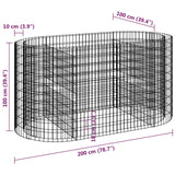 NNEVL Gabion Raised Bed Galvanised Iron 200x100x100 cm