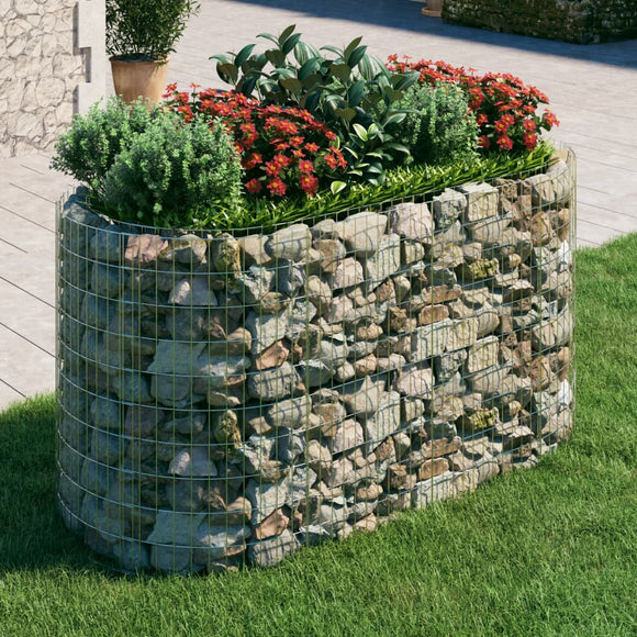 NNEVL Gabion Raised Bed Galvanised Iron 200x100x100 cm