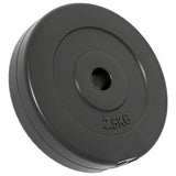 NNEVL Weight Plates 6 pcs 30 kg Cement