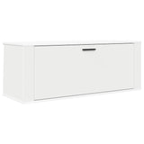 NNEVL Wall Shoe Cabinet White 100x35x38 cm Engineered Wood