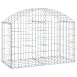 NNEVL Arched Gabion Basket 100x50x60/80 cm Galvanised Iron