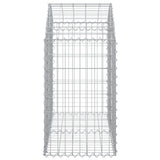 NNEVL Arched Gabion Basket 100x50x80/100 cm Galvanised Iron