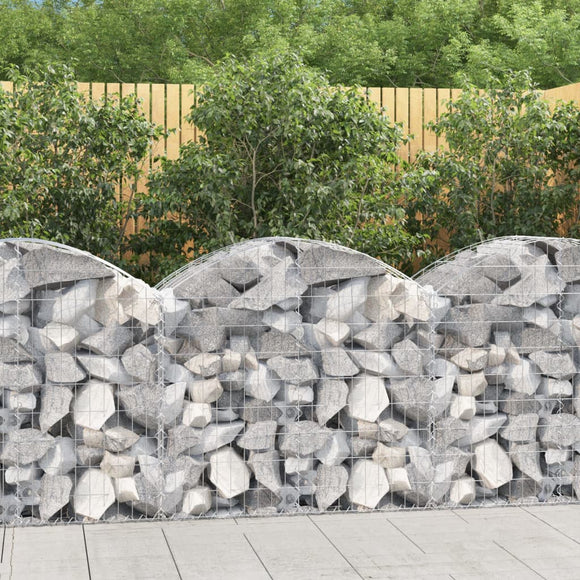 NNEVL Arched Gabion Basket 100x50x80/100 cm Galvanised Iron