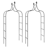 NNEVL Garden Arches 2 pcs Black 120x38x260 cm Steel