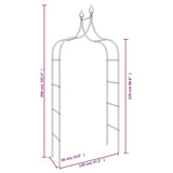 NNEVL Garden Arches 2 pcs Black 120x38x260 cm Steel