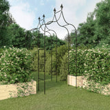 NNEVL Garden Arches 2 pcs Black 120x38x260 cm Steel