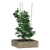 NNEVL Garden Plant Supports with 4 Rings 5 pcs Green 90 cm Steel