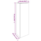 NNEVL Garden Planter 30x26x75 cm Corten Steel