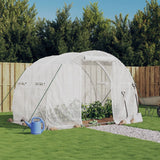 NNEVL Greenhouse with Steel Frame White 6 m² 3x2x2 m