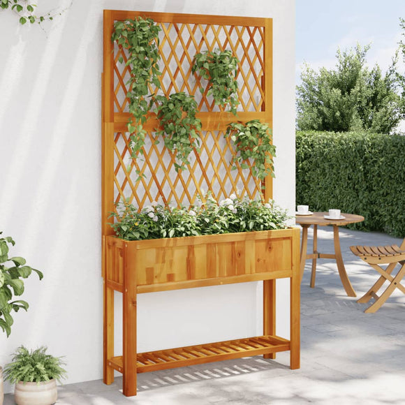 NNEVL Planter with Trellis and Shelf 100x32x185 cm Solid Wood Acacia