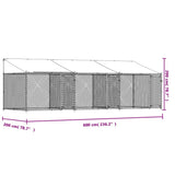 NNEVL Dog Cage with Roof and Doors Grey 6x2x2 m Galvanised Steel
