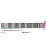 NNEVL Dog Cage with Roof and Doors Grey 12x2x2 m Galvanised Steel