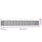 NNEVL Dog Cage with Roof and Door Grey 12x2x2 m Galvanised Steel