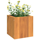 NNEVL Garden Planter 25x25x25 cm Solid Wood Acacia