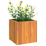 NNEVL Garden Planter 35x35x35 cm Solid Wood Acacia