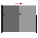 NNEVL Retractable Side Awning Anthracite 160x300 cm