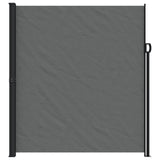 NNEVL Retractable Side Awning Anthracite 220x300 cm