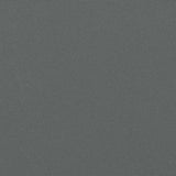 NNEVL Retractable Side Awning Anthracite 220x300 cm