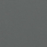 NNEVL Retractable Side Awning Anthracite 140x600 cm
