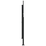 NNEVL Retractable Side Awning Black 160x1000 cm
