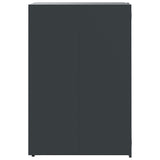 NNEVL Wheelie Bin Storage for 3 Bins Anthracite 207x79x117 cm Steel
