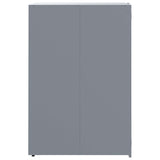 NNEVL Wheelie Bin Storage for 2 Bins Grey 138x79x117 cm Steel