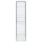 NNEVL Gabion Basket with Cover 100x50x200 cm Galvanised Iron