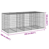 NNEVL Gabion Basket with Cover 250x100x100 cm Galvanised Iron