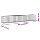 NNEVL Gabion Basket with Cover 600x100x100 cm Galvanised Iron