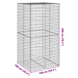 NNEVL Gabion Basket with Cover 100x100x200 cm Galvanised Iron