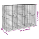 NNEVL Gabion Basket with Cover 300x100x200 cm Galvanised Iron