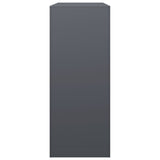 NNEVL Firewood Rack Anthracite 100x40x100 cm Steel