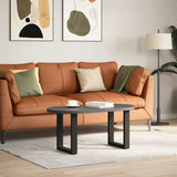 NNEVL Coffee Table Legs U-Shaped 2 pcs Black 38x(42-43) cm Steel