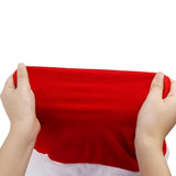 4pcs Red Santa Hat Chair Covers Velvet-Style