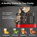 NNETM Fruits and Vegetables Slow Juicer