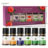 NNETM Aromatherapy Glass Bottles Essential Oil Set of 6