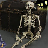 NNEOBA Movable Halloween Skeleton Human Bones Model