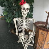 NNEOBA Movable Halloween Skeleton Human Bones Model