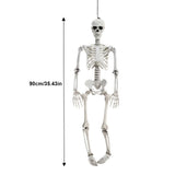NNEOBA Movable Halloween Skeleton Human Bones Model
