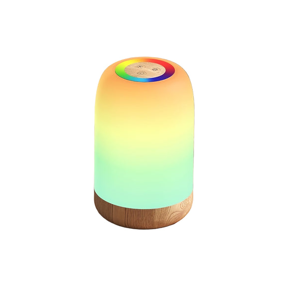 NNETM Bedside Light LED Touch Portable Lamp